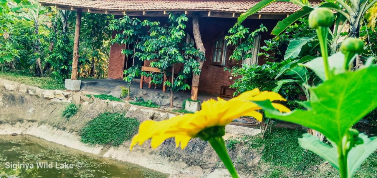 Sigiri Wild Lake Dambulla Exterior foto