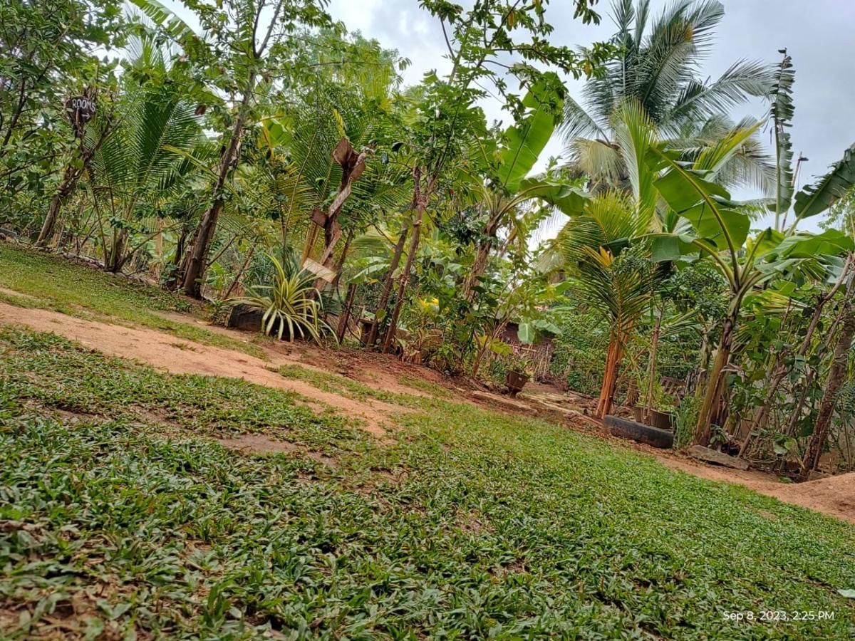 Sigiri Wild Lake Dambulla Exterior foto