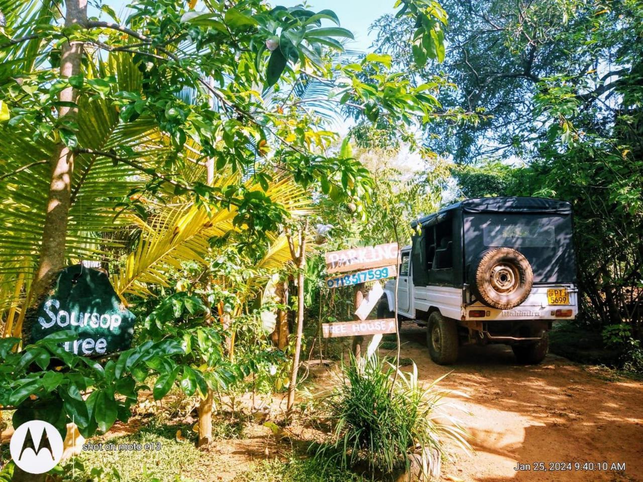 Sigiri Wild Lake Dambulla Exterior foto