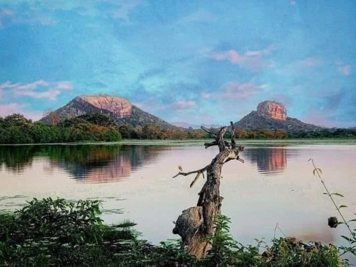 Sigiri Wild Lake Dambulla Exterior foto